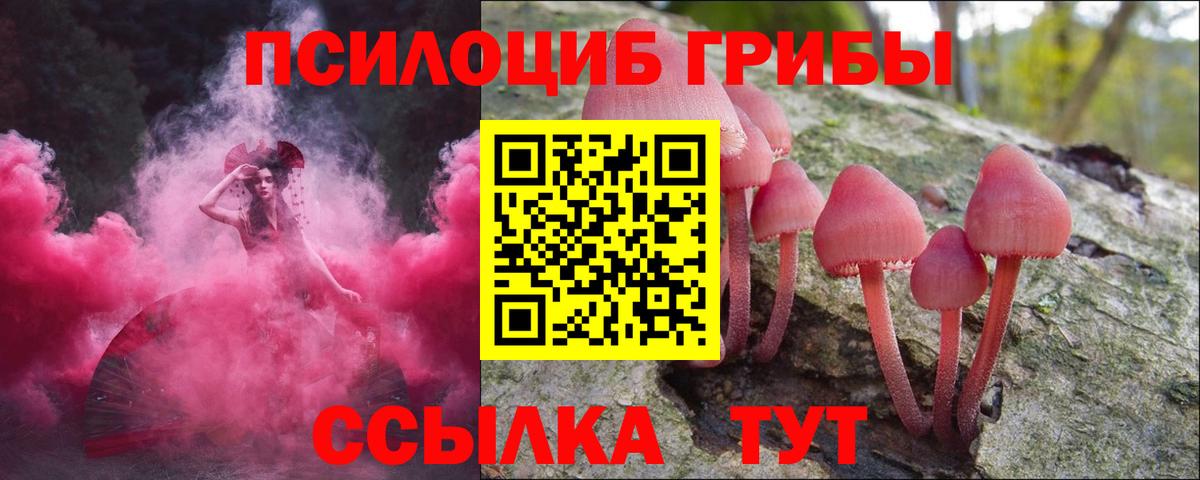 Псилоцибиновые грибы Cubensis Мурино