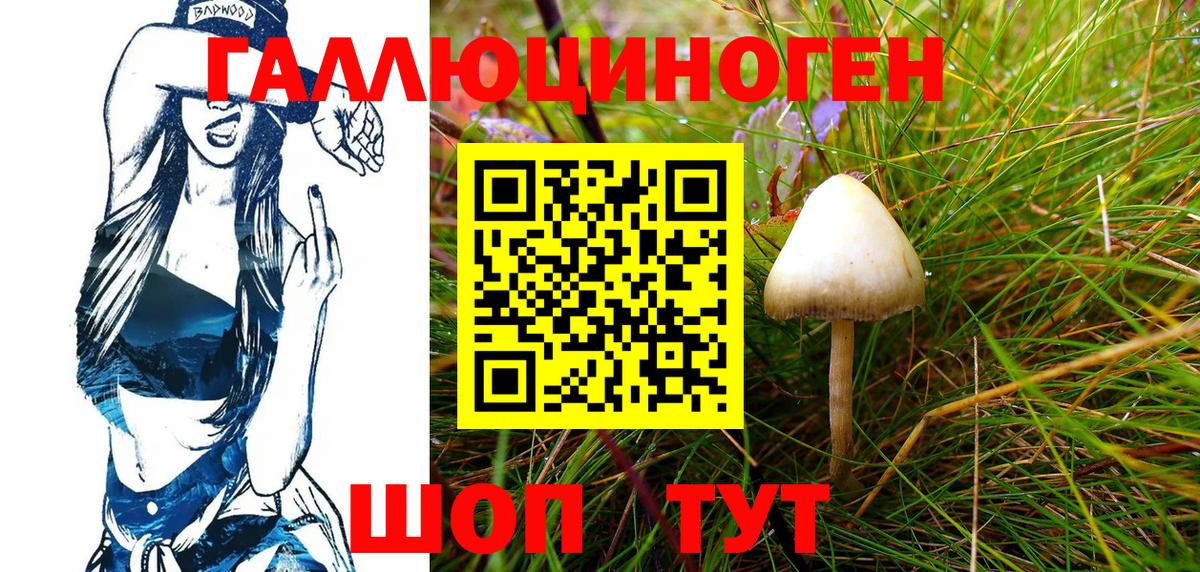 Галлюциногенные грибы мухоморы  Вход с VPN  Мурино 